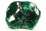 Banded Polished Malachite Specimen - DR Congo #273922-1